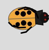 Development snapshot 2 for Ladybugs