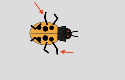 Development snapshot 3 for Ladybugs